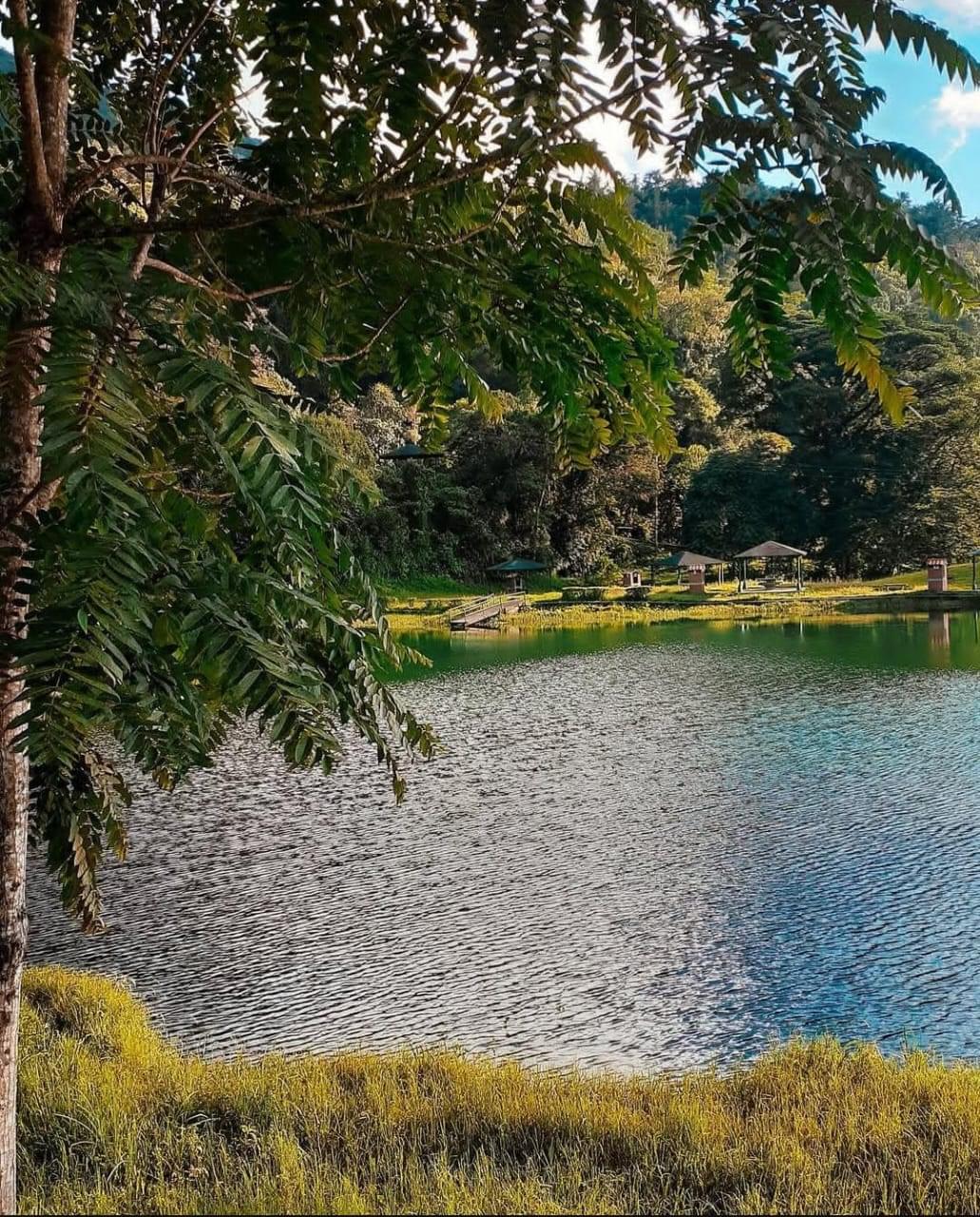 Foto La Laguna Cedros